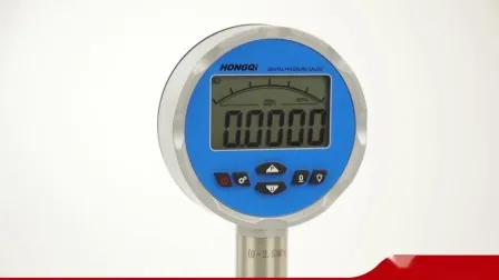 Parete con puntatore bimetallico interamente in acciaio inossidabile