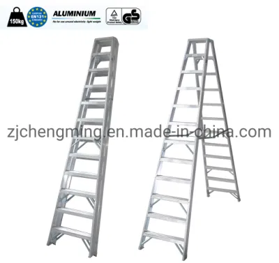 Scala domestica all'ingrosso 2x12 Step Ladder En131 Scaletta Scala a doppio lato